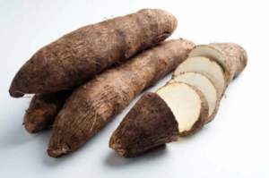 Vad är vild jamsrot och vad har den för egenskaper?