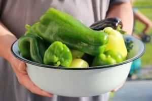 Plantera och odla paprika hemma