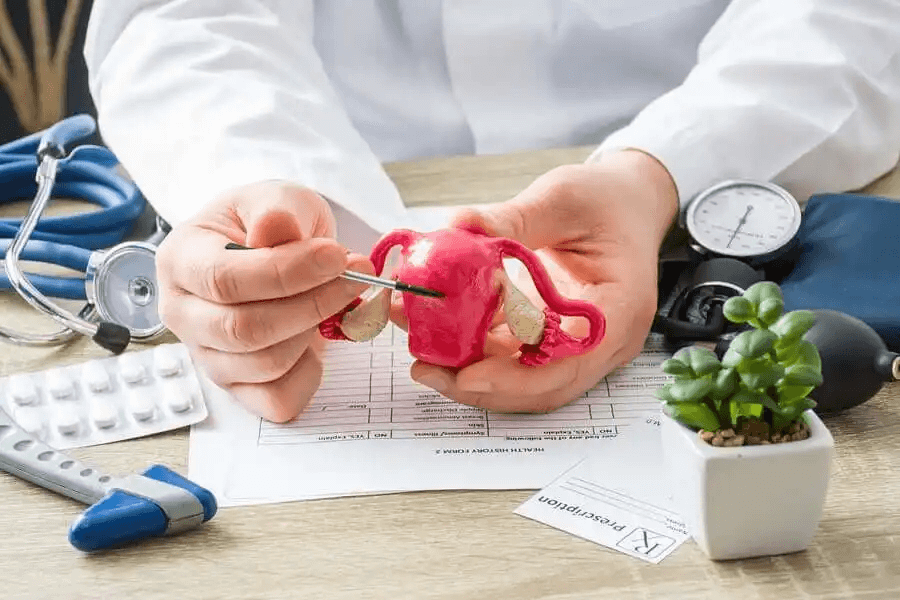 Graviditetskomplikation cervixinsufficiens: läkare med modell av livmoder