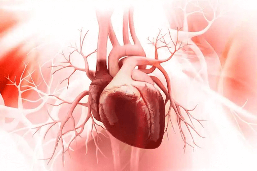 illustration av ett hjärta