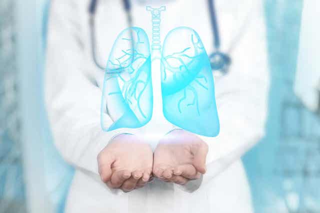 En bronkoskopi är en diagnostisk och terapeutisk teknik inom pneumonologi, den gren av medicin som studerar lungorna.