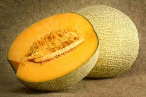 Testa dessa 3 goda recept på sylt på melon