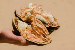 Frukten baobab: Egenskaper, fördelar och risker
