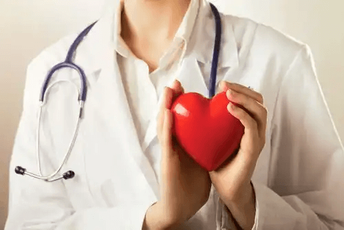 läkare håller plasthjärta