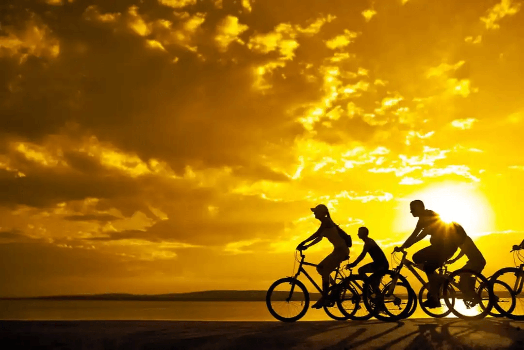 tid att träna: familj på cykeltur