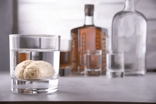 alkohol och hjärna