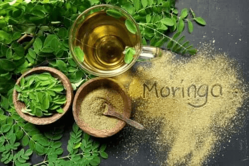 Kallpressad moringaolja - dess egenskaper och användning
