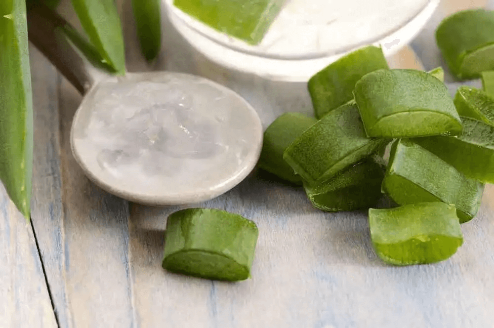 växter i köket: aloa vera