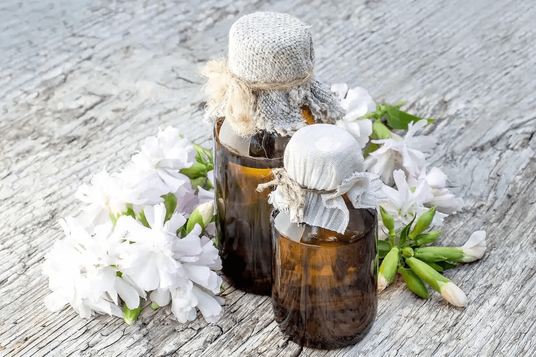 såpnejlikans egenskaper