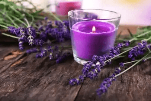 Hur man gör ett prydnadsljus med lavendelblommor