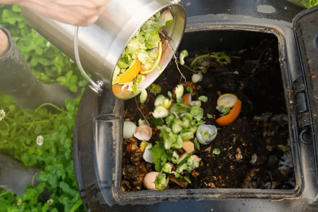 person häller hushållsavfall i egen kompost