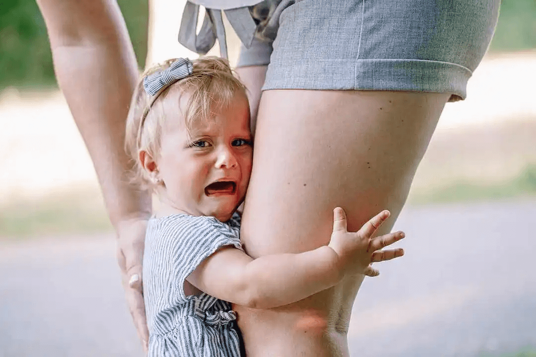 småbarn skriker och håller fast vid förälders ben
