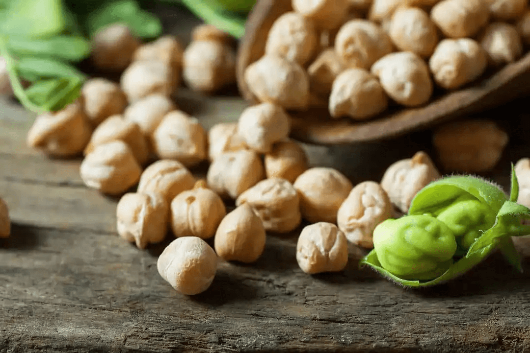 färska och torkade kikärter