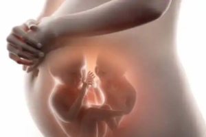 Superfetation eller att bli gravid medan du redan är gravid