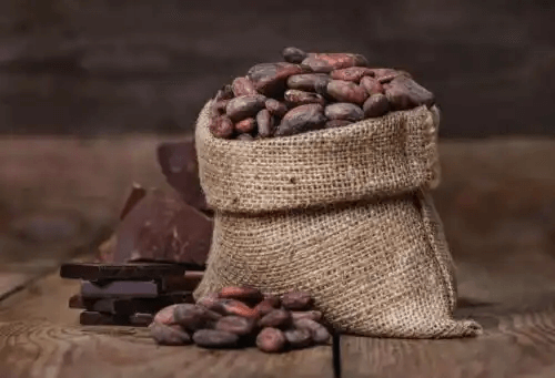 kakaobönor i säck