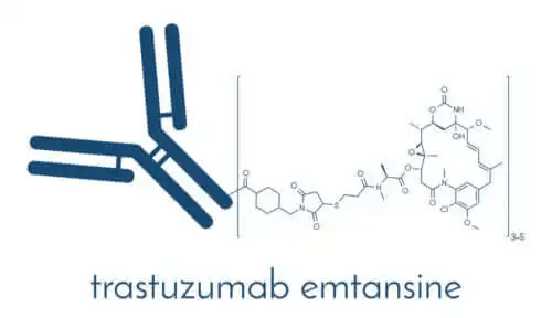 Trastuzumab: Terapi för HER2-positiv bröstcancer