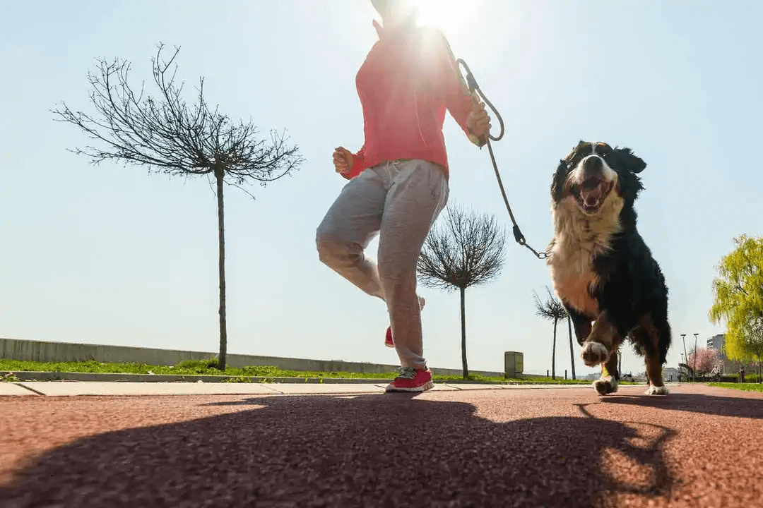 kvinna som springer med hund
