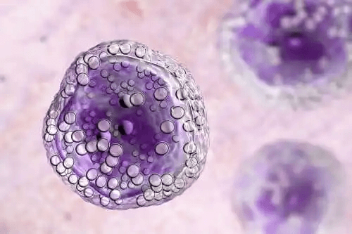 celler