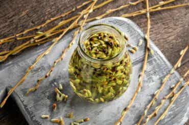 Yemoterapi: fördelar och tillämpningsområden