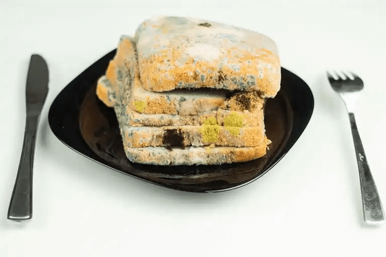 Bröd täckt med svamp