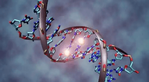 En DNA-sträng