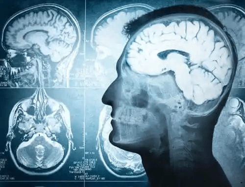 Hjärnans olika delar och deras funktioner