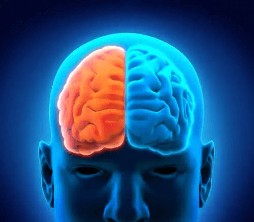 De två sidorna av hjärnan.