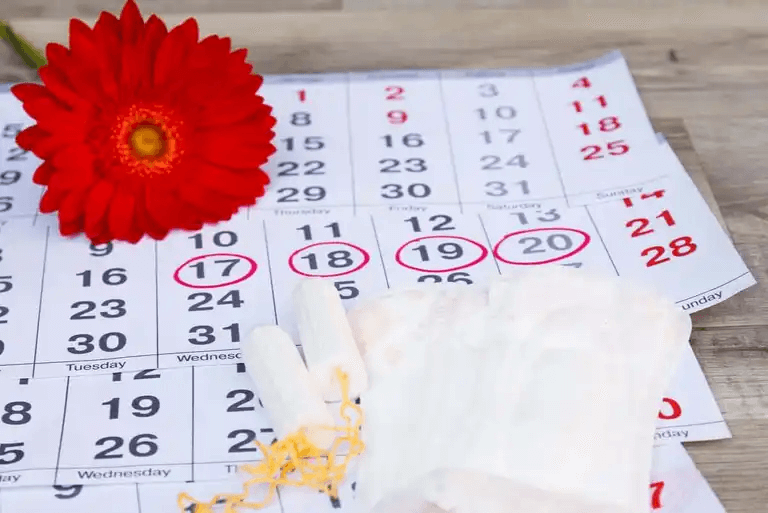 En representation av menstruationscykeln