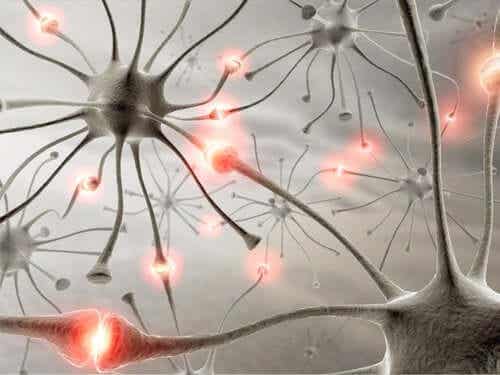 Fördelarna med musik för personer med neurologiska sjukdomar märks på neuronal nivå.