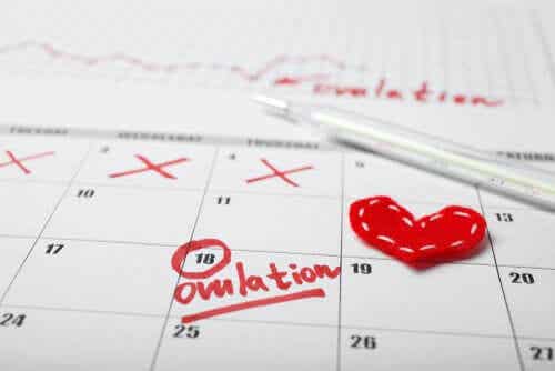 Hormoner påverkar menstruationscykeln och är viktiga för ägglossningen.