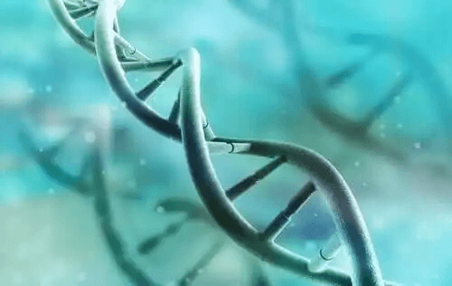 Upptäck hur DNA fungerar