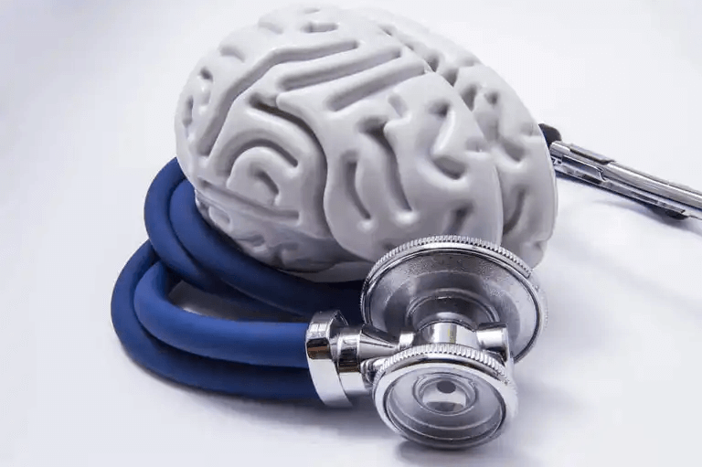 Ett stetoskop lindat runt en plastmodell av hjärnan.