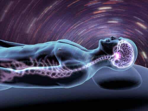 Centrala nervsystemet är känsligt för långvarig otillräcklig sömn.