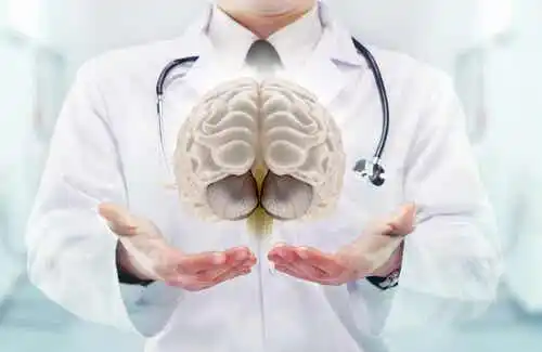 Doktor håller en modell av en hjärna i händerna.