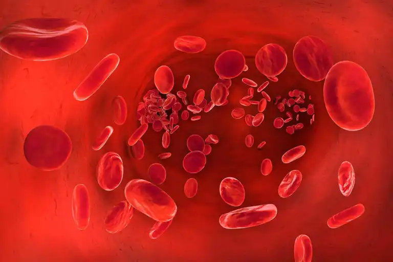 Hemoglobin bär syre i blodet.