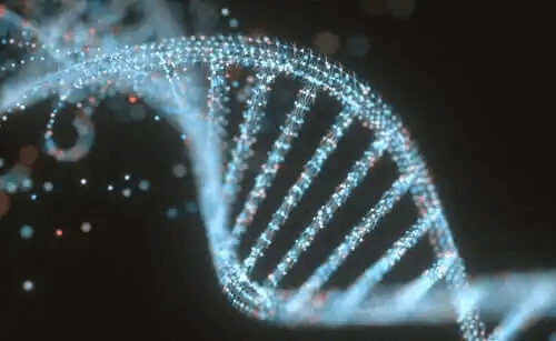 Skillnaderna mellan DNA och RNA