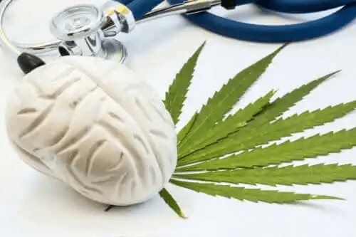 Effekten av cannabis på hjärnan
