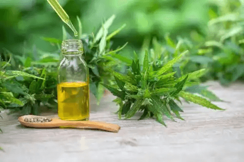 Olika former av cannabis.