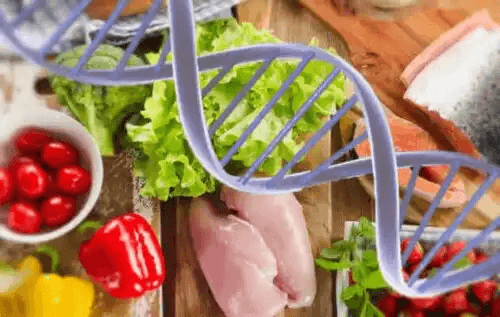 Mat och gener.