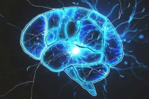 Finns det bakterier i hjärnan?