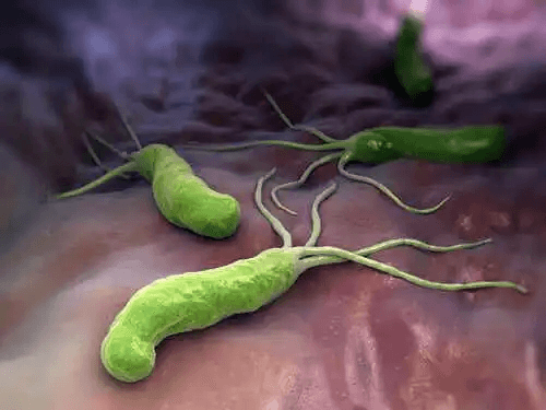 Gröna bakterier på huden.