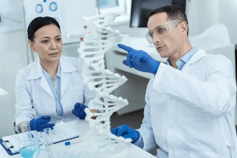 Forskare studerar DNA