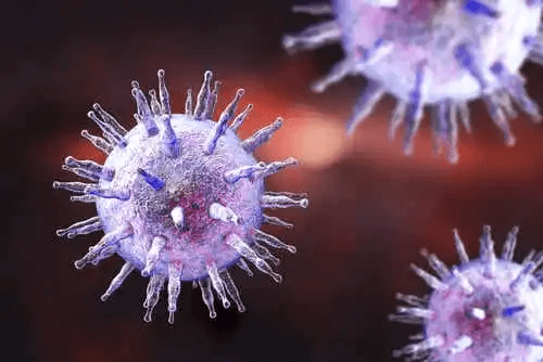 Ett virus