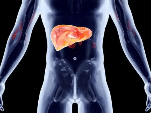 Illustration av primär biliär cirros