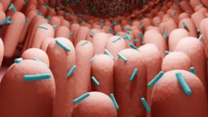 Postbiotika: Vad är det?