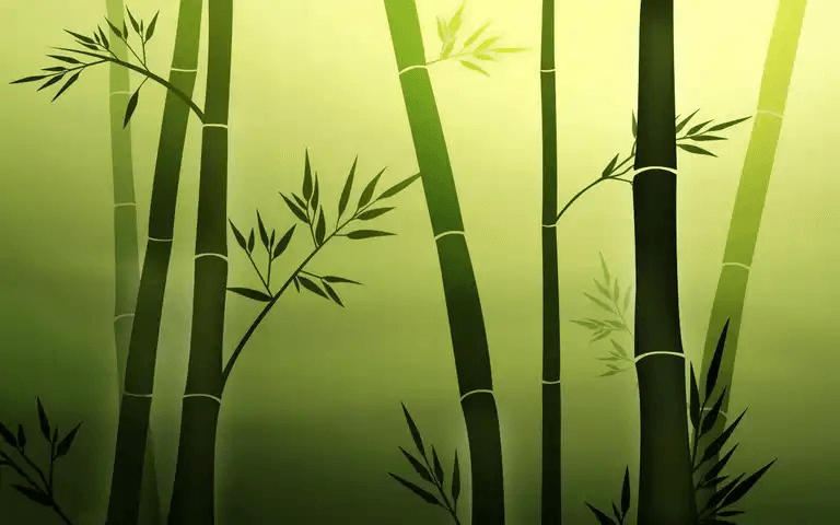Ritning av bambu som kan ge avskildhet i trädgården
