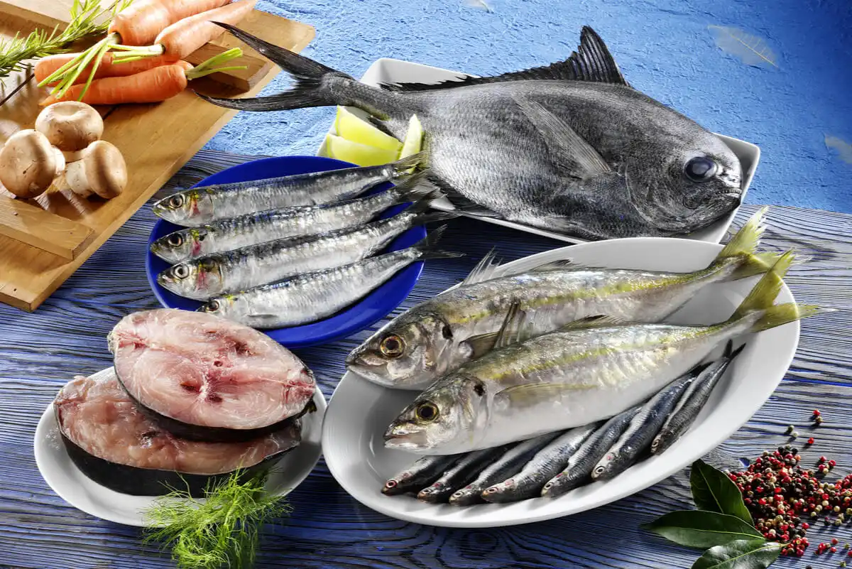 Färsk fisk