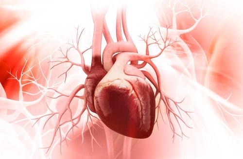 5 råd för att förhindra brustet hjärta-syndromet