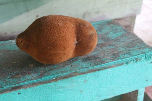 Fördelar med kakaofrukten copoazú: en tropisk frukt med unik smak