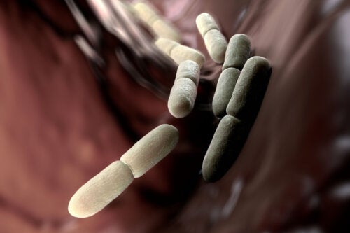 Auto-brewery syndrome (ABS): när kroppen bildar alkohol i magen